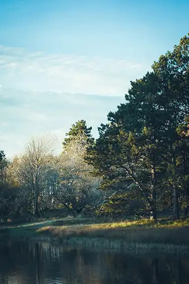 Waterleidingduinen Waterleidingduinen